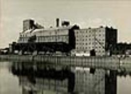 Solway Mills, Silloth