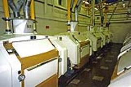 Langley Mills, roller flour mills