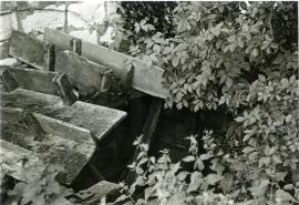 "Alverstone I of W July 1961"