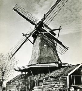 Smock mill, Netherlands