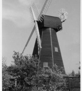 View of mill and surrounding orchard, smock mill, West Kingsdown