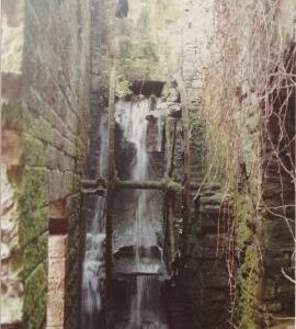 Gloucs, Guns Mill, Forest of Dean, wheel