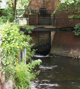 Bishopstoke Mill, now called Shears Mill, mill leat, sluice