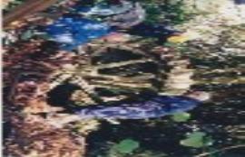 Brambridge  wheel and pump, repairs by Hampshire Mills Group