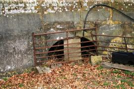 East Meon, Frogmore Mill, filled in mill pond