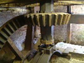 Milford, Efford Mill, pit wheel and wallower