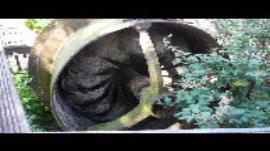 Sopley, Sopley Mill, turbine decaying outside