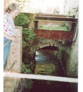 Evelith Mill, Shifnal - pentrough and wheel pit (Rhoda Bedington on left)
