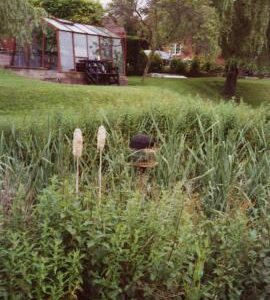 Grafton Mill, Grafton Flyford - tailrace