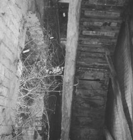 Chadwell Mill, Chadwell, Sheriffhales - inside the waterwheel