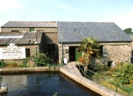 Pond and mill, Brynkir Woollen Mill, Dolbenmaen, Caernarvonshire