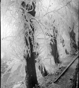 Unidentified watermill mill race