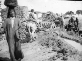 Ox-powered irrigation mill, North Africa