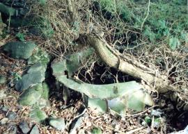 Derelict waterwheel - at lower mill, Melin Cochwillan, Llanllechid, Caernarvonshire